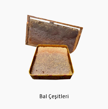 Bal Çeşitleri